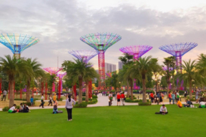 cong vien anh sang the opus one